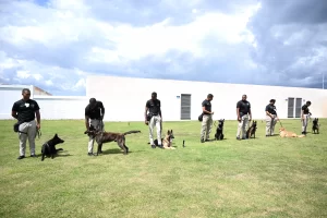 aerodom-dona-caninos-al-cesac-para-potenciar-la-seguridad-aeroportuaria