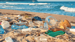 lanzan-en-puerto-plata-‘programa-comunidades-circulares’-para-prevenir-plasticos-en-el-oceano