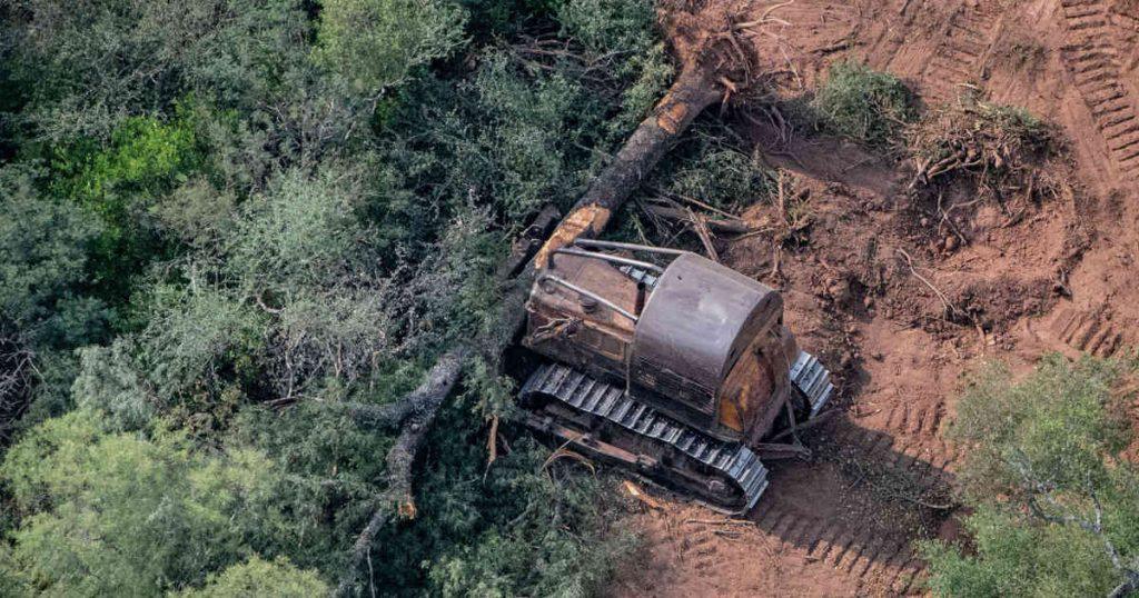 greenpeace-denuncia-un-aumento-«alarmante»-de-la-mineria-ilegal-en-la-amazonia-brasilena