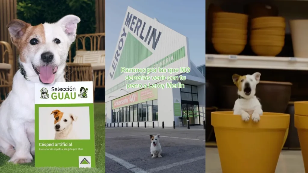 los-perros-son-interioristas-en-esta-divertida-campana-de-leroy-merlin