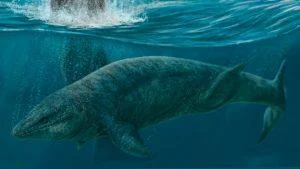 asi-era-el-‘prognathodon-cipactli’,-el-monstruo-marino-de-la-epoca-de-los-dinosaurios-descubierto-en-mexico
