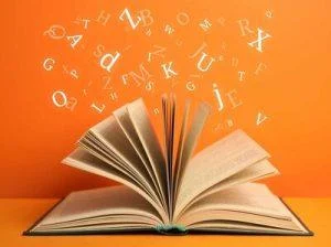vocabulario:-palo-dado-ni-dios-lo-quita