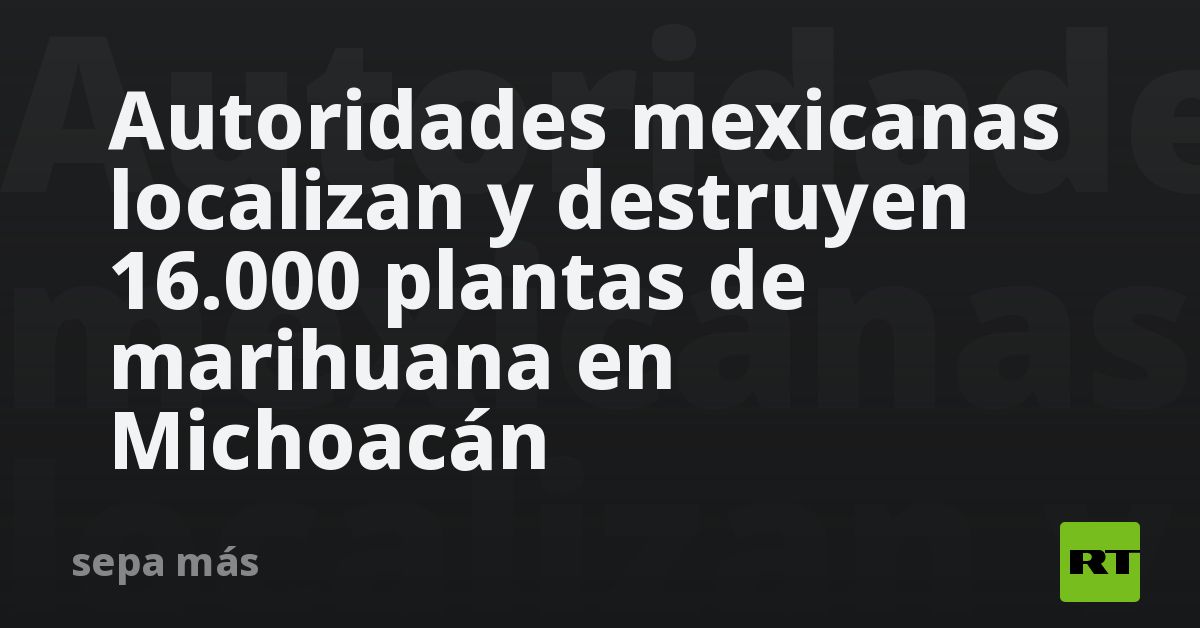 Autoridades mexicanas localizan y destruyen 16.000 plantas de marihuana en Michoacán