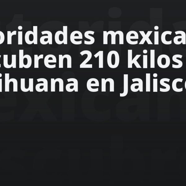 Autoridades mexicanas descubren 210 kilos de marihuana en Jalisco