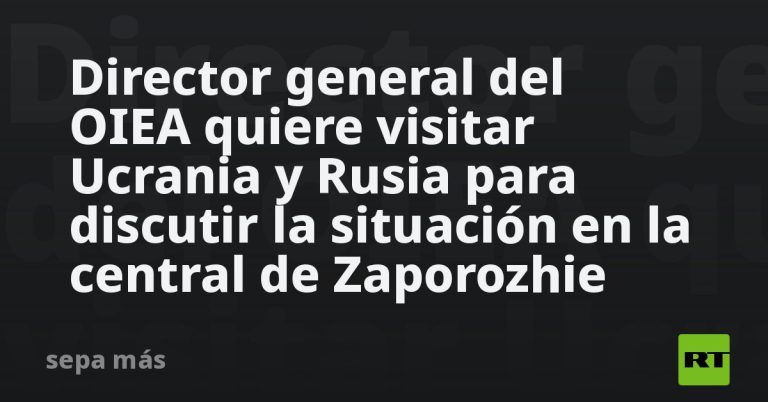 director-general-del-oiea-quiere-visitar-ucrania-y-rusia-para-discutir-la-situacion-en-la-central-de-zaporozhie