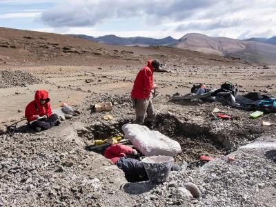hallan-fosiles-de-dinosaurios-en-patagonia-chilena
