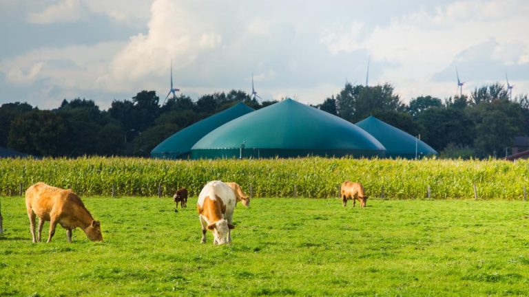 el-biogas-o-la-oportunidad-de-producir-energia-a-partir-de-residuos-organicos