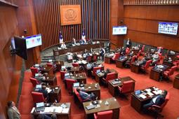 Senado aprueba en segunda lectura proyecto de Ley Orgánica de Régimen Electoral
