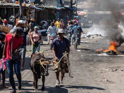 OEA vuelve a hablar de Haití sin tomar decisión ayuda