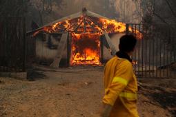 Fuegos forestales dejan 5 muertos