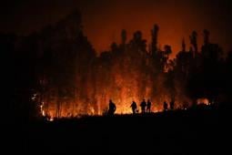 Incendios han causado muerte de 24 personas en Chile