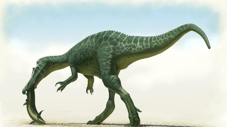 hallan-en-la-rioja-los-restos-del-espinosaurido-mas-completo-de-la-peninsula