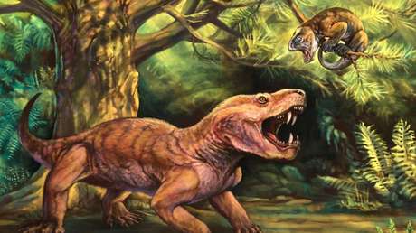 el-primer-depredador-con-dientes-de-sable-se-traslado-de-rusia-a-sudafrica-hace-252-millones-de-anos