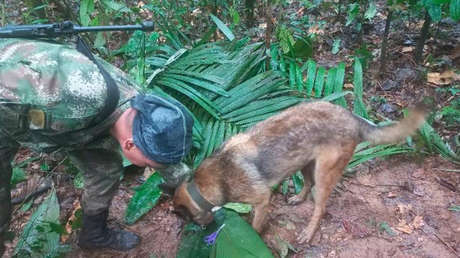 autoridades-colombianas-afirman-que-los-cuatro-ninos-perdidos-en-la-selva-“estan-vivos”