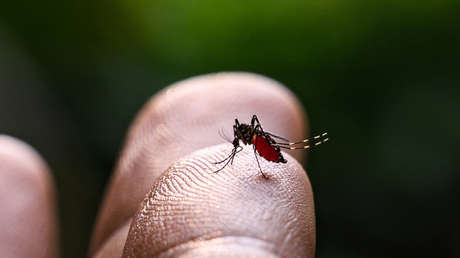 confirman-la-primera-muerte-por-un-brote-de-dengue-en-el-estado-mexicano-de-tabasco