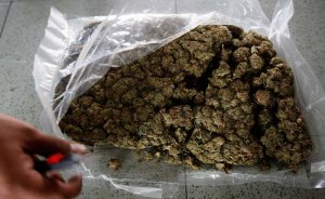 incautan-mas-de-3,1-toneladas-de-marihuana-de-las-disidencias-de-las-farc-en-colombia
