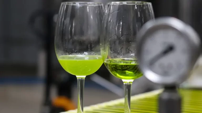 desmontamos-los-mitos-mas-populares-del-aceite-de-oliva-con-un-experto:-"¿cuanto-mas-verde-mejor?-no"