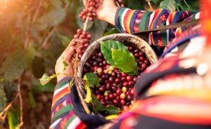 el-negocio-del-cafe-sostenible-y-justo-que-se-desarrolla-entre-espana-y-america-latina
