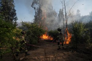 chile-declara-alerta-roja-por-incendios-forestales-en-cinco-comunas;-el-fuego-afecta-mas-de-300-hectareas