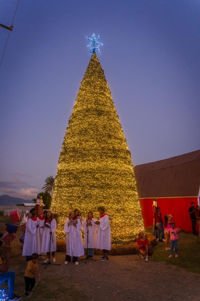 tierra-tropical-inicia-su-ultima-temporada-de-2024-“christmas-farm”