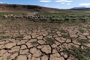 bruselas-advierte-de-la-“situacion-critica”-del-agua-en-la-ue-y-pide-una-mejor-proteccion-de-un-bien-clave