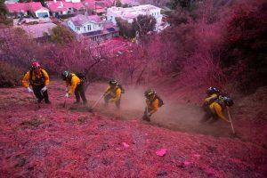 resumen-de-noticias-de-incendios-en-los-angeles,-california-del-13-de-enero-de-2025