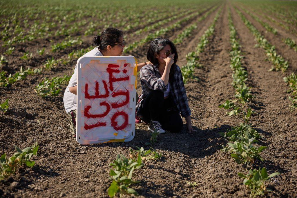 muere-un-trabajador-tras-una-redada-masiva-contra-inmigrantes-en-granjas-de-cannabis-en-california