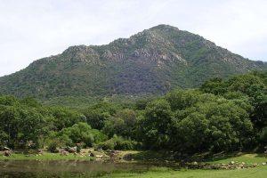 pese-a-la-sequia-y-el-cambio-climatico,-andalucia-es-hoy-mas-verde-que-en-los-90.-no-es-tan-positivo-como-parece