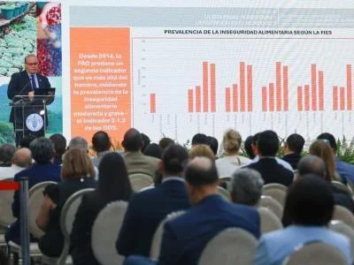 fao-resalta-avances-contra-el-hambre-en-rd,-pero-persiste-obesidad