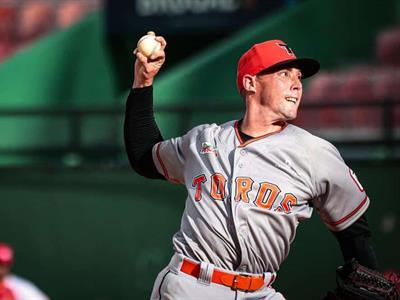 lidom:-estevez-anuncia-rotacion-de-los-toros-para-serie-ante-licey