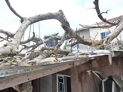 huracan-melissa-golpea-hogar-del-80-%-de-dominicanos-en-jamaica