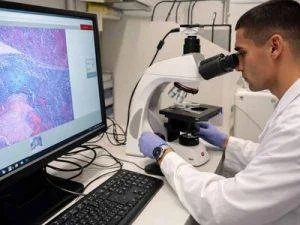 tres-universidades-concentran-el-40-%-de-los-investigadores