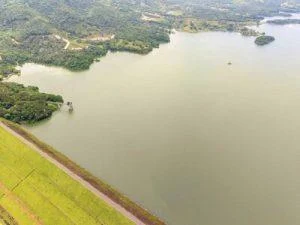 el-ciclo-de-las-algas-en-presa-de-hatillo-podria-concluir