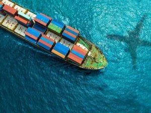 los-productos-mas-importados-por-republica-dominicana